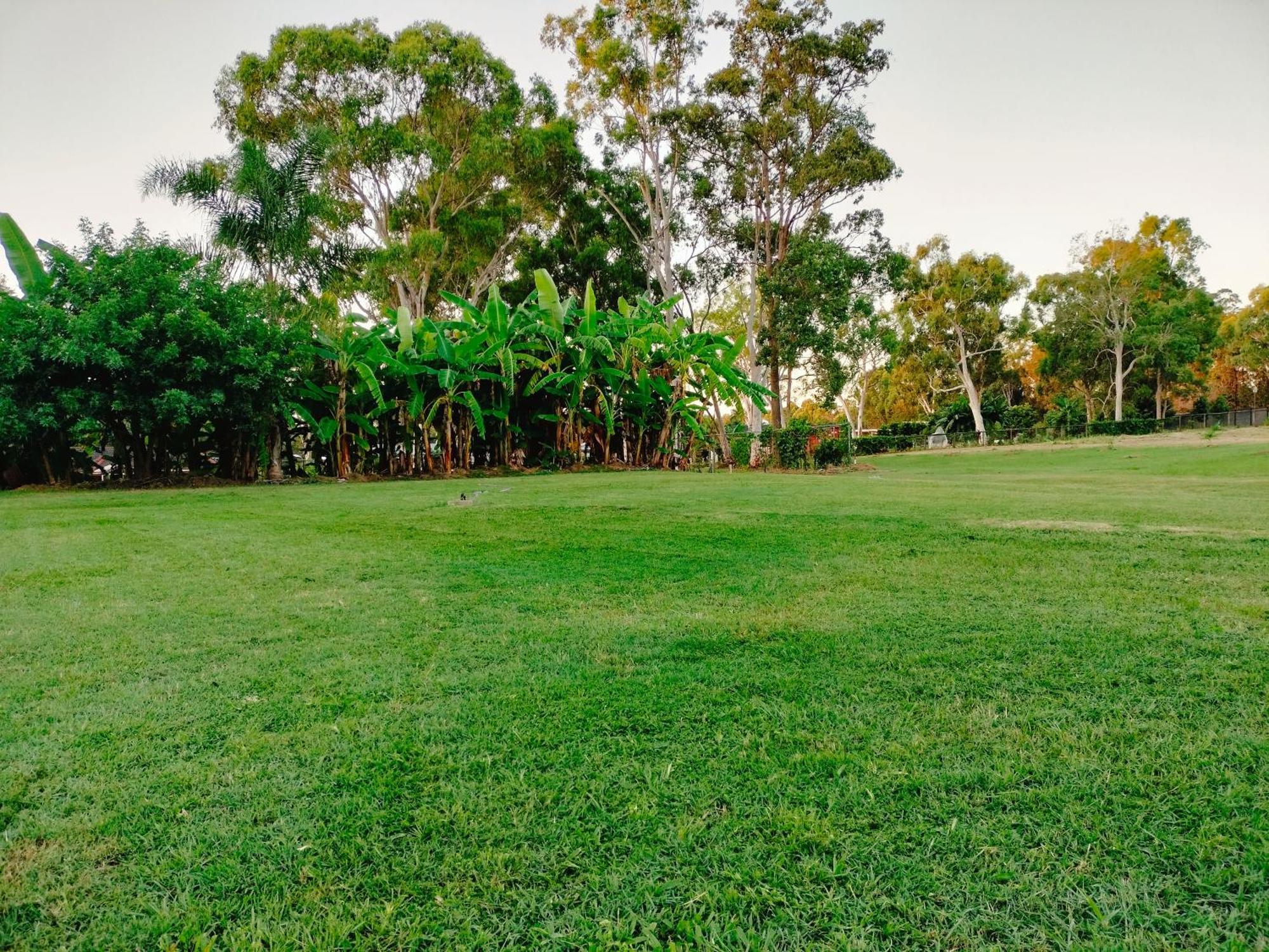 The Woodlands Hideaway - Premium Acreage Guesthouse Browns Plains Zewnętrze zdjęcie